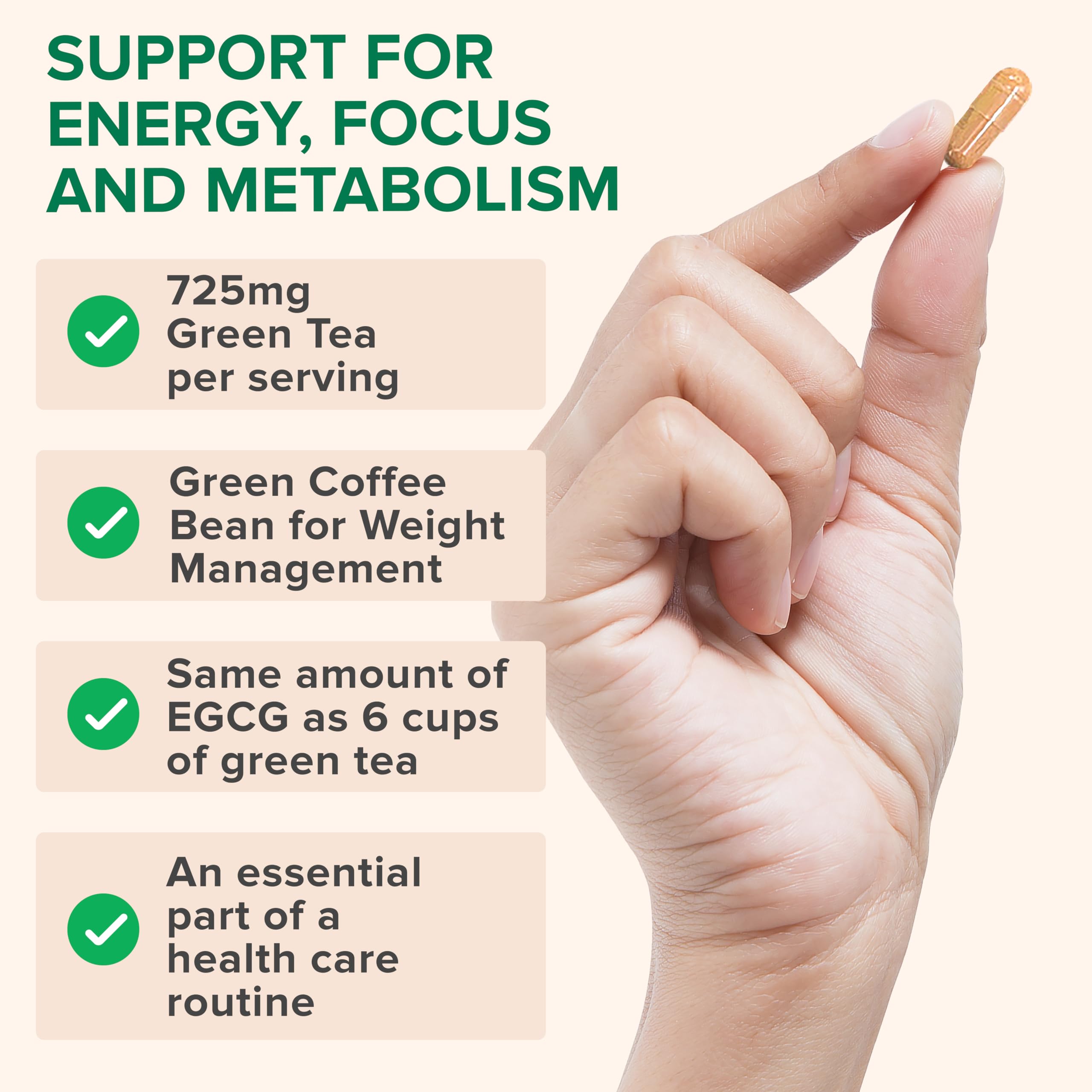 Zenwise Green Tea Extract capsules on store shelf for daily use