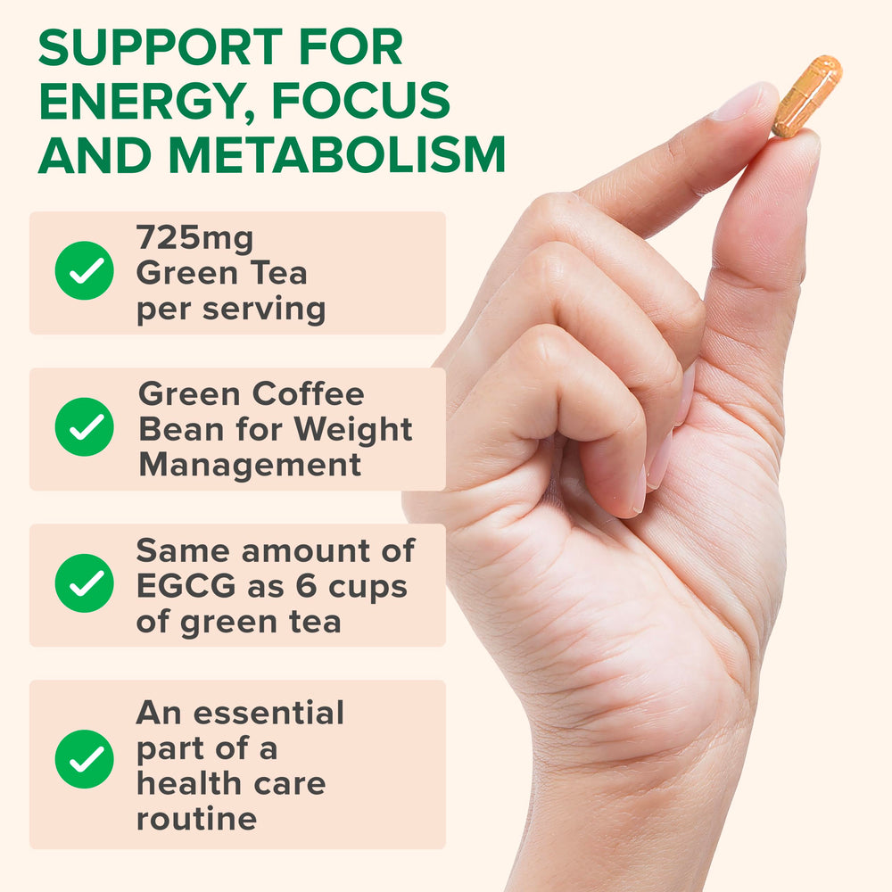 Zenwise Green Tea Extract capsules on store shelf for daily use