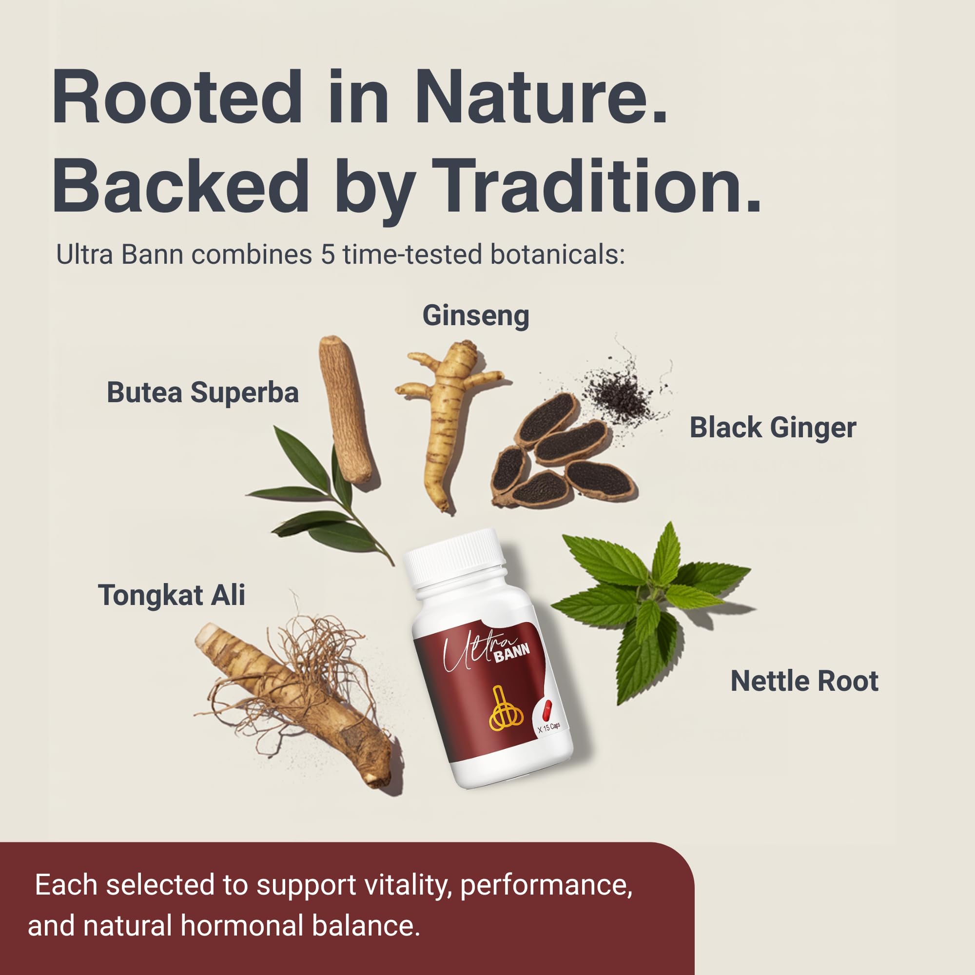 Zest Of Moringa Ultra Bann Tongkat Ali close-up signals vitality