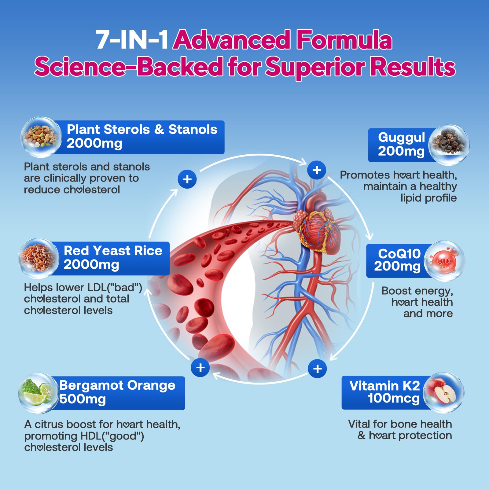 Close-up of Zetelixia gummies chews for convenient daily cardio support.