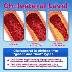 Gummies with red yeast rice visual for balanced cholesterol options.