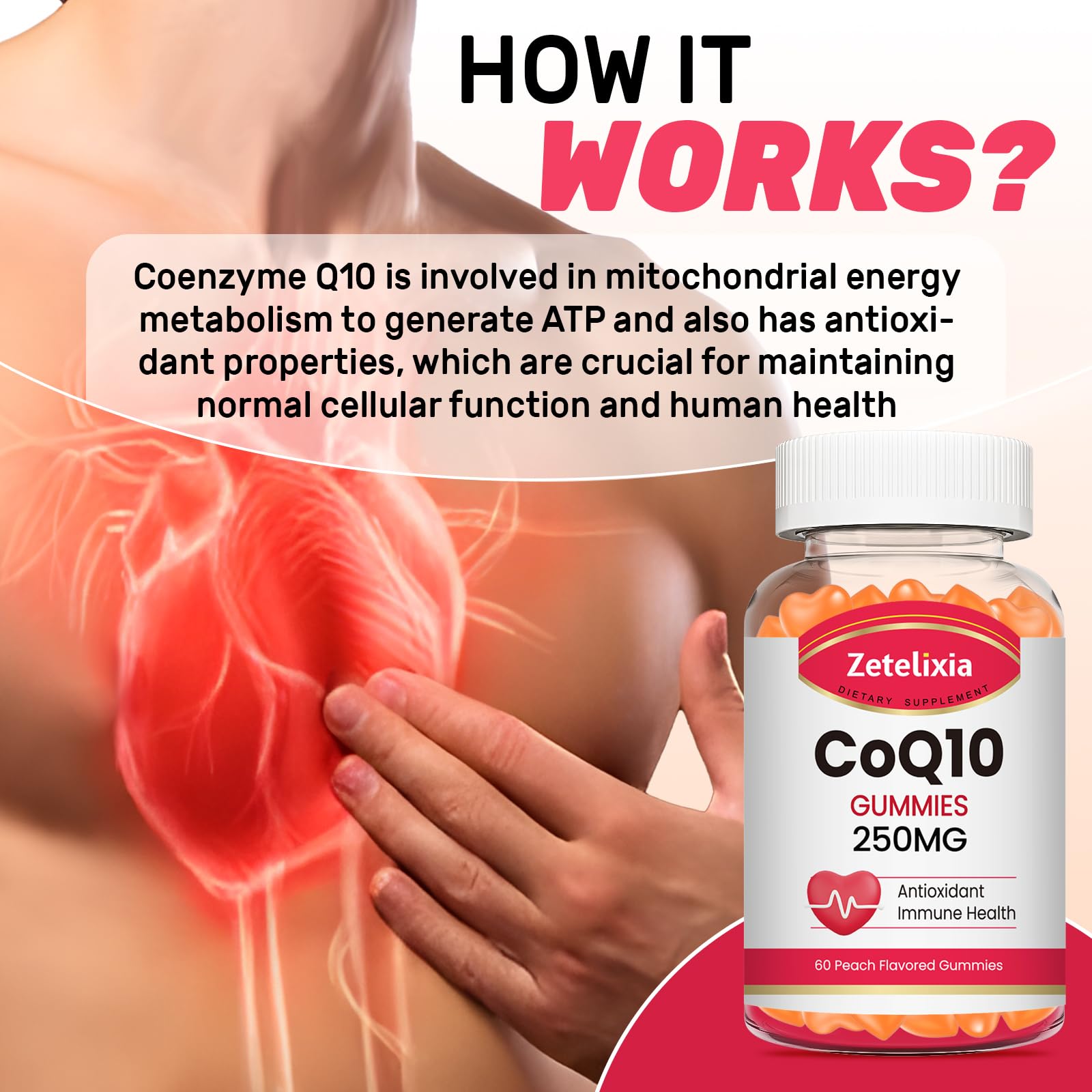 Serving suggestion with two Zetelixia CoQ10 Gummies for daily energy