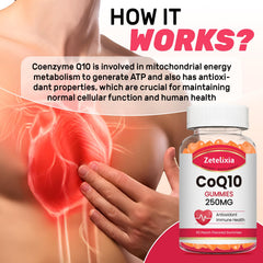 Serving suggestion with two Zetelixia CoQ10 Gummies for daily energy