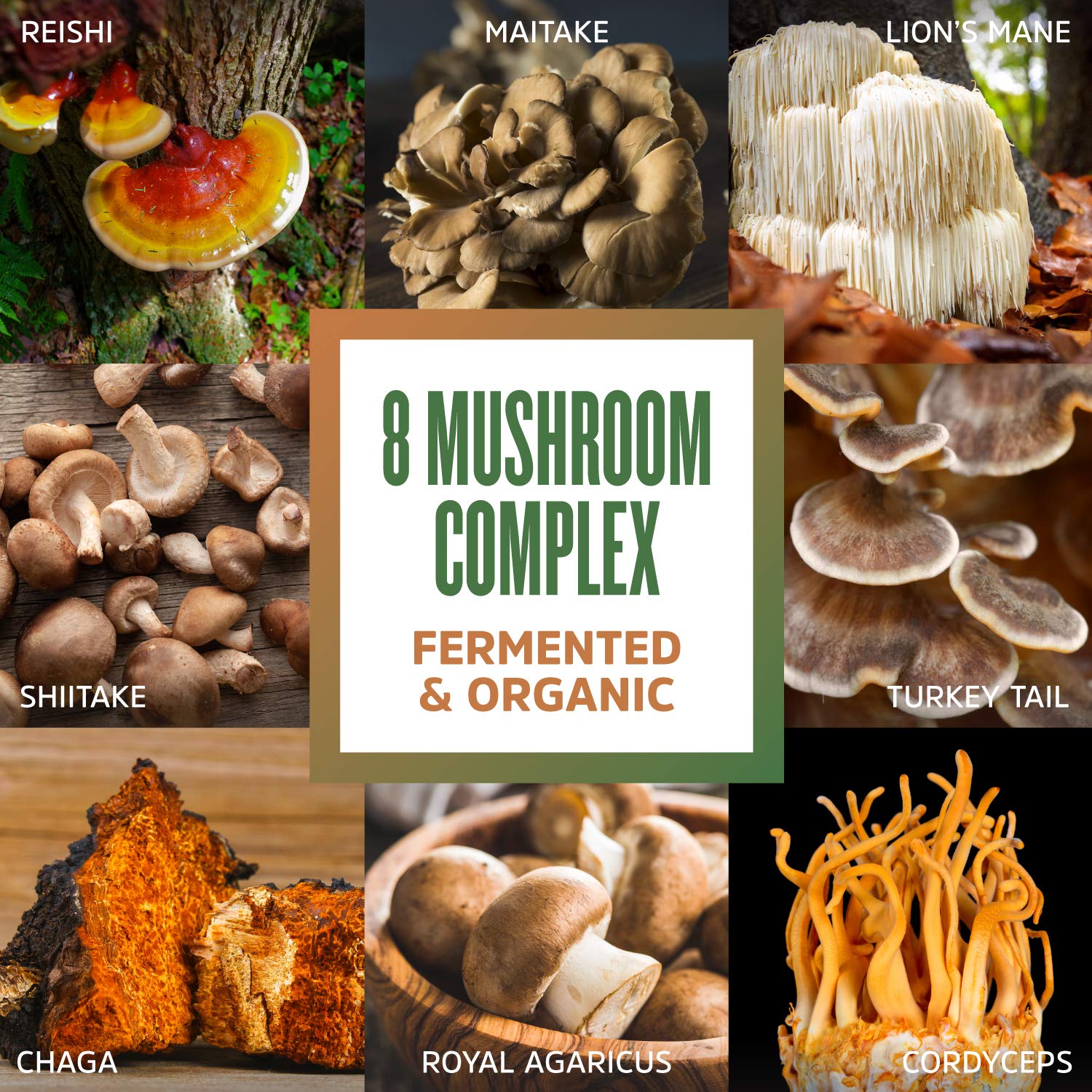 ZHOU Mushroom 8-Plex measuring scoop for easy use