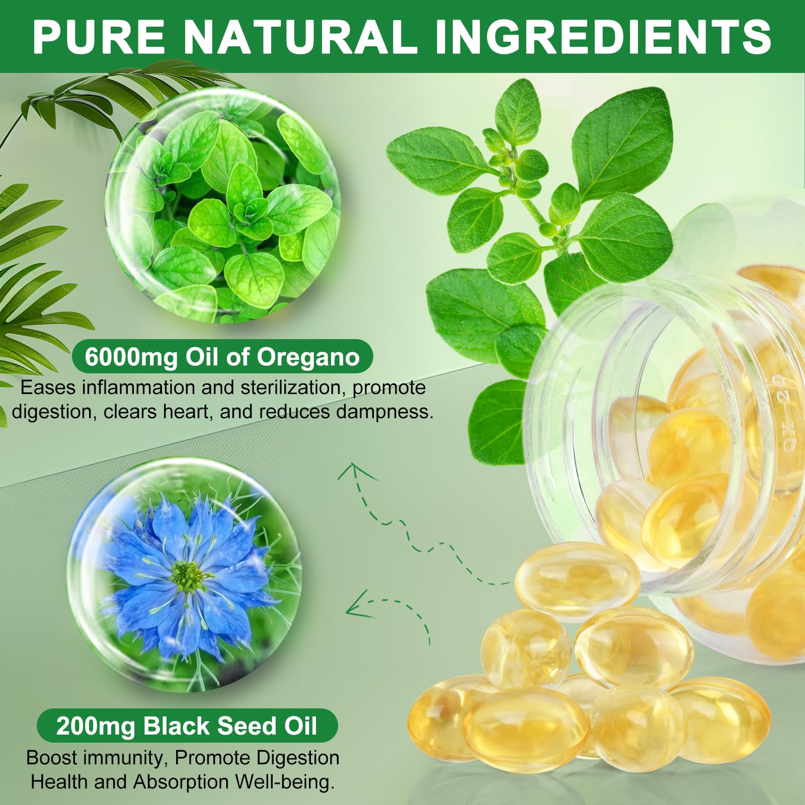 ZHPHK oil of oregano softgels are easy to swallow for daily wellness support.