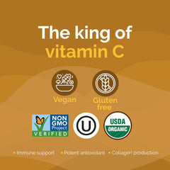 Scoop of Zint Camu Camu powder for daily antioxidant boost.