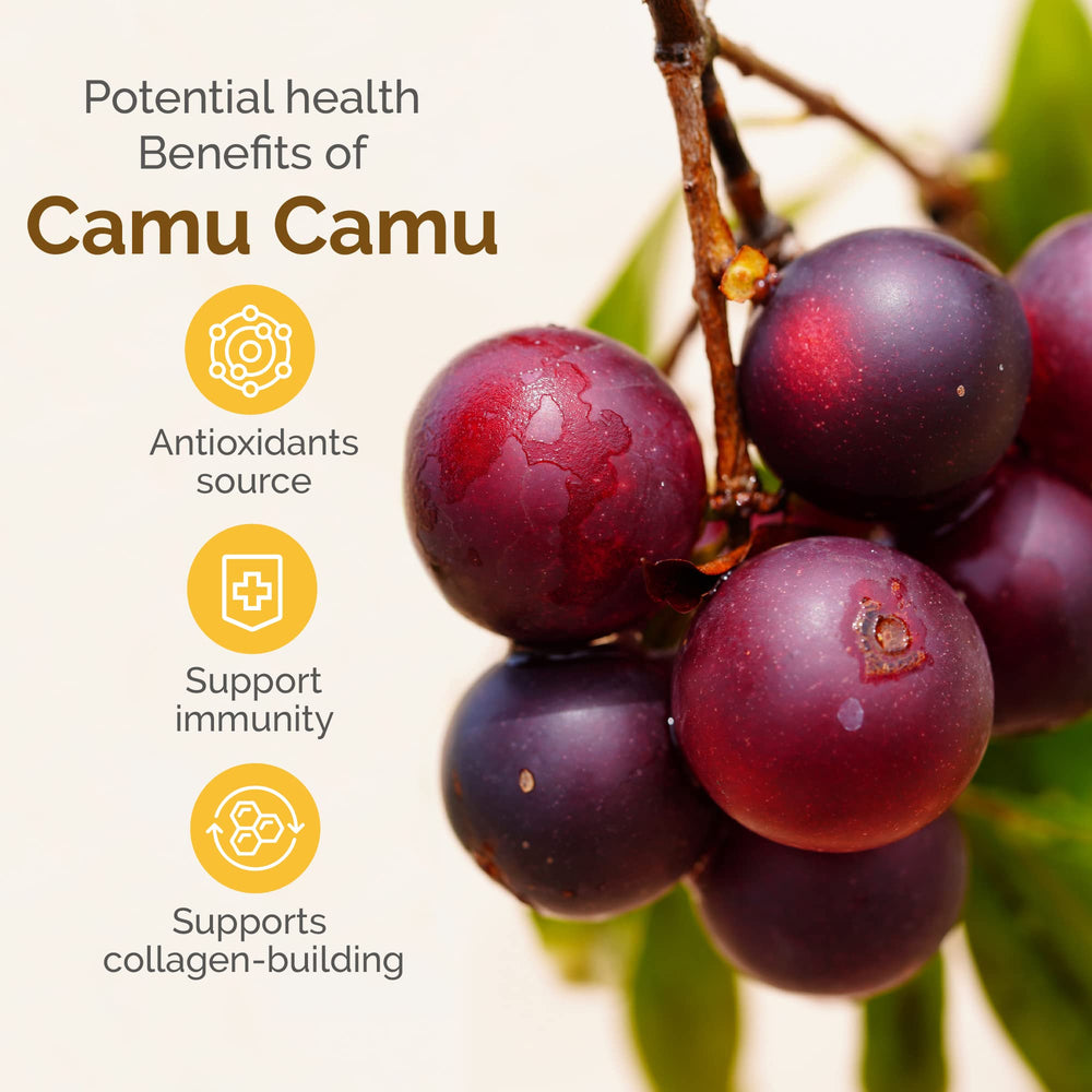 Powder in a glass smoothie ready to enjoy with camu camu.