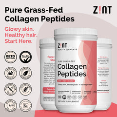 Zint Collagen Peptides XL bottle back, hydrolyzed formula for fast absorption.