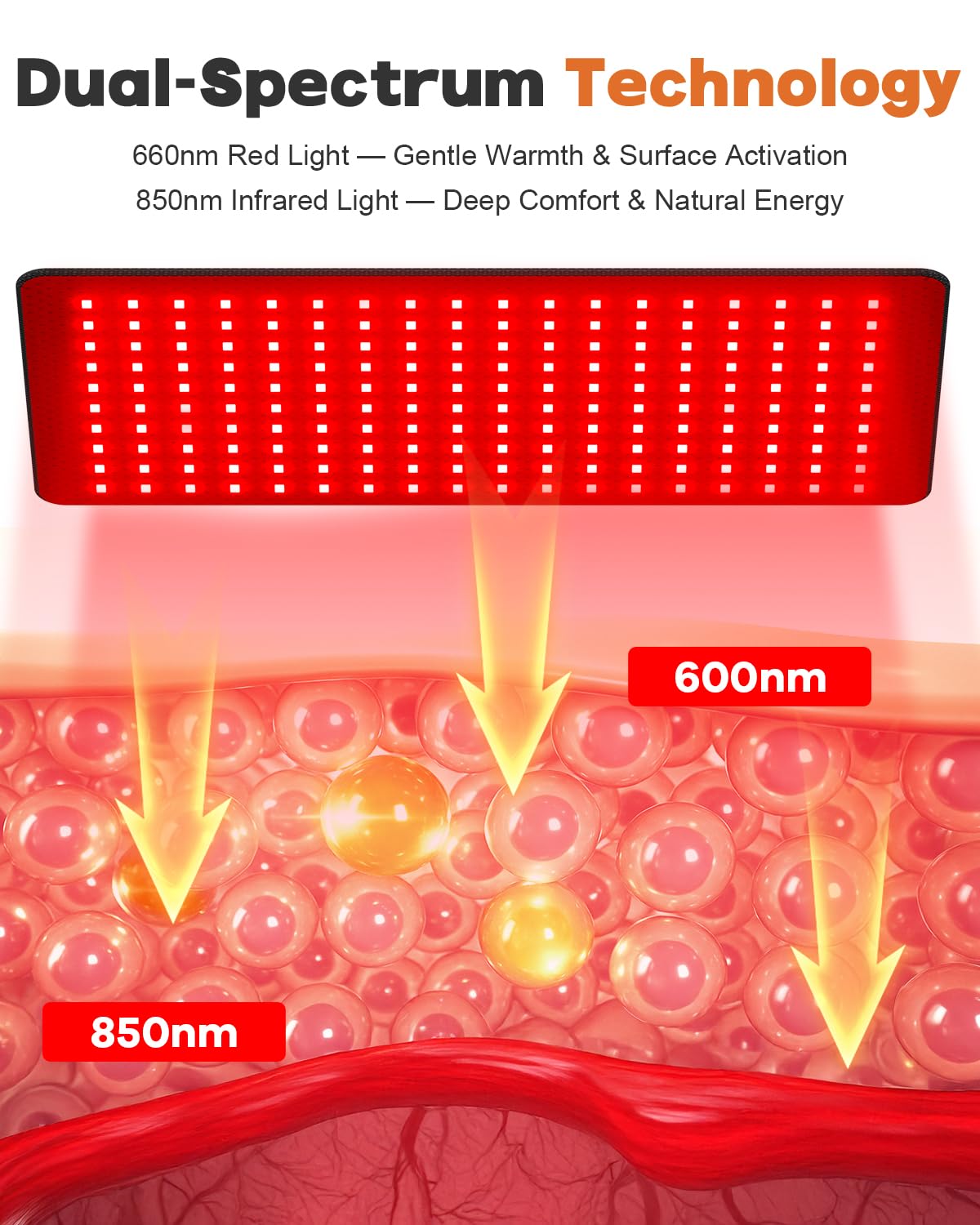Ziptly red light therapy mat knees and legs for targeted warmth.