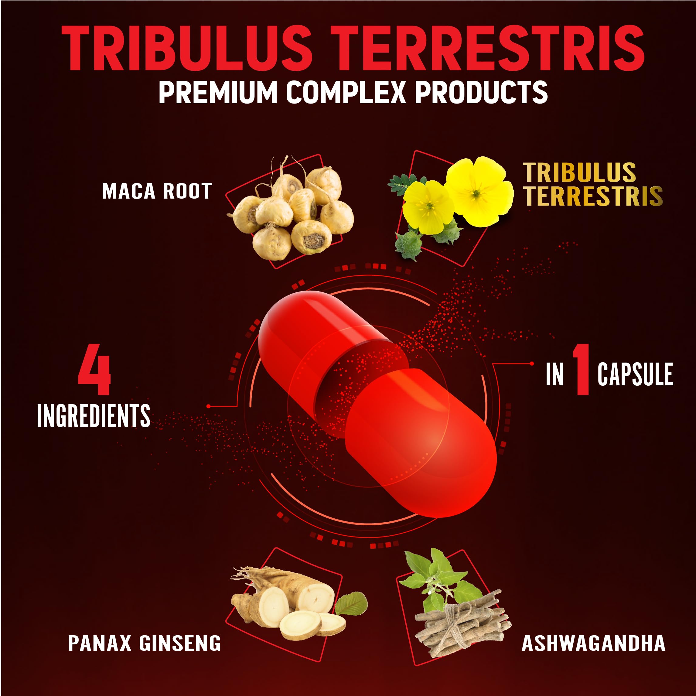 Zolotus capsules dispensing scene for easy daily intake.