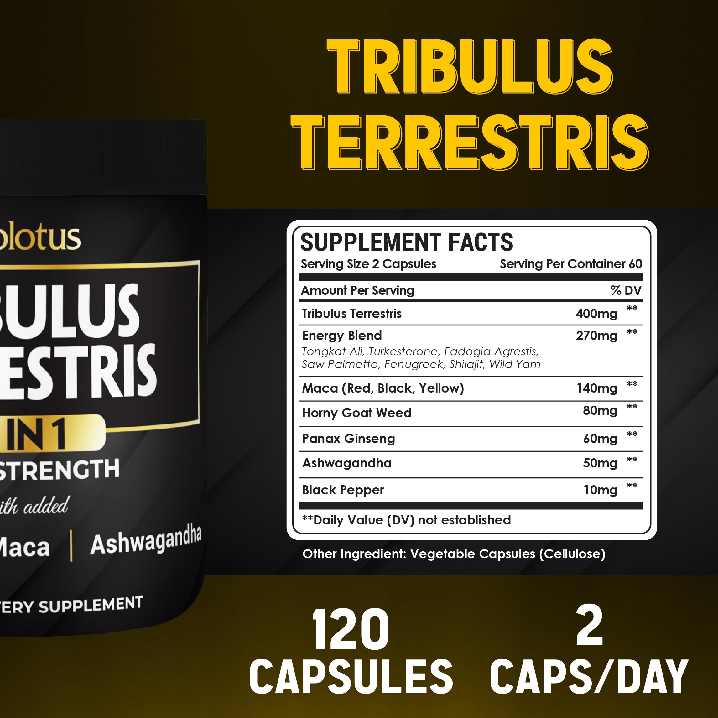Zolotus ingredient spotlight Tribulus Terrestris underscores a core component.