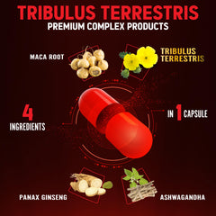 Zolotus Tribulus with Ashwagandha Panax Ginseng Maca blend highlighting herbal ingredients for wellness