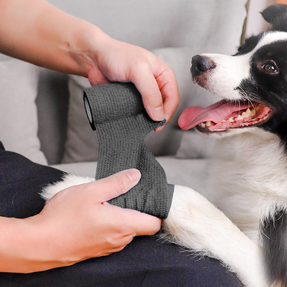 ZOVAREGE vet wrap on a dog leg demonstrating versatile pet care.