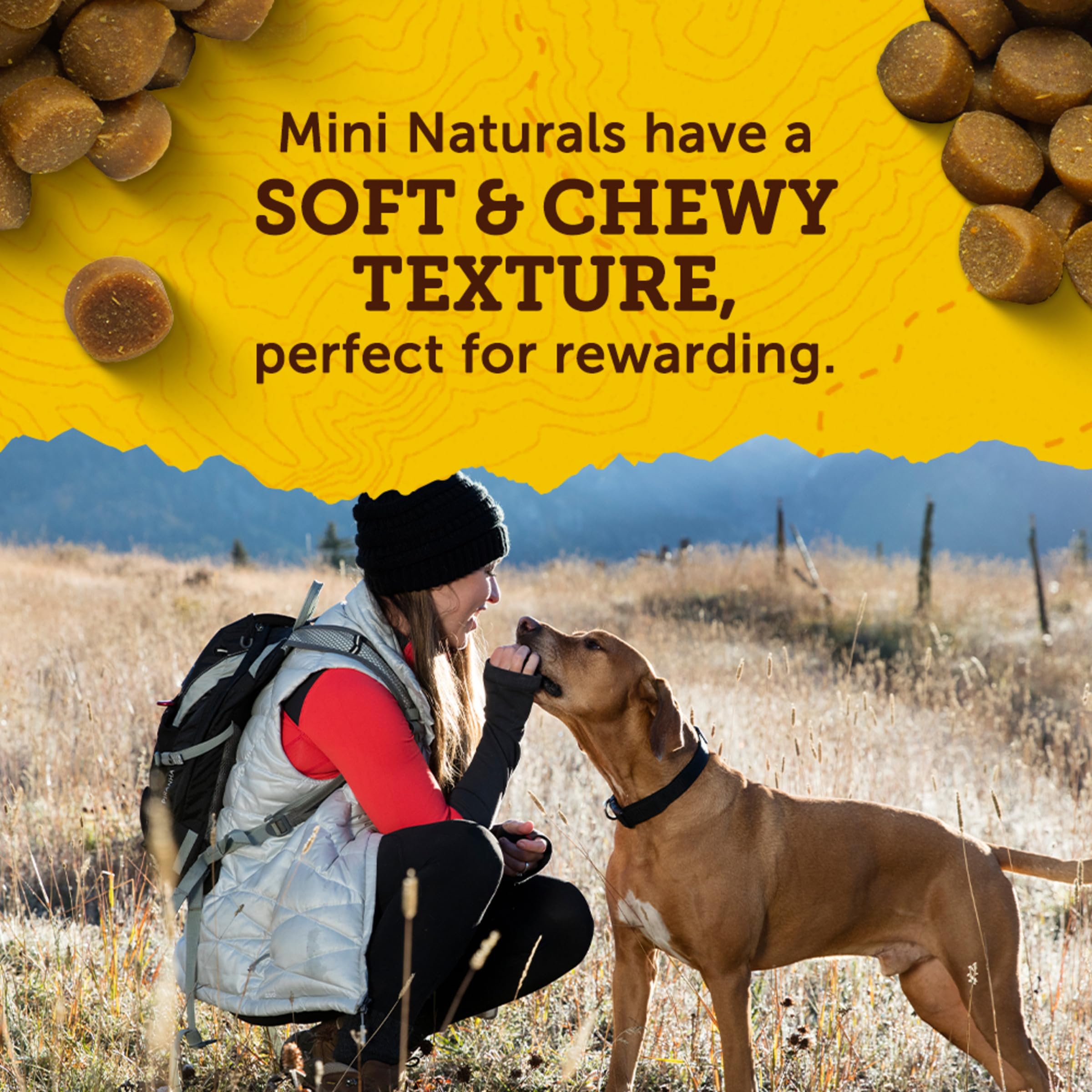 Zuke’s Mini Naturals Salmon recipe treats with natural ingredients.