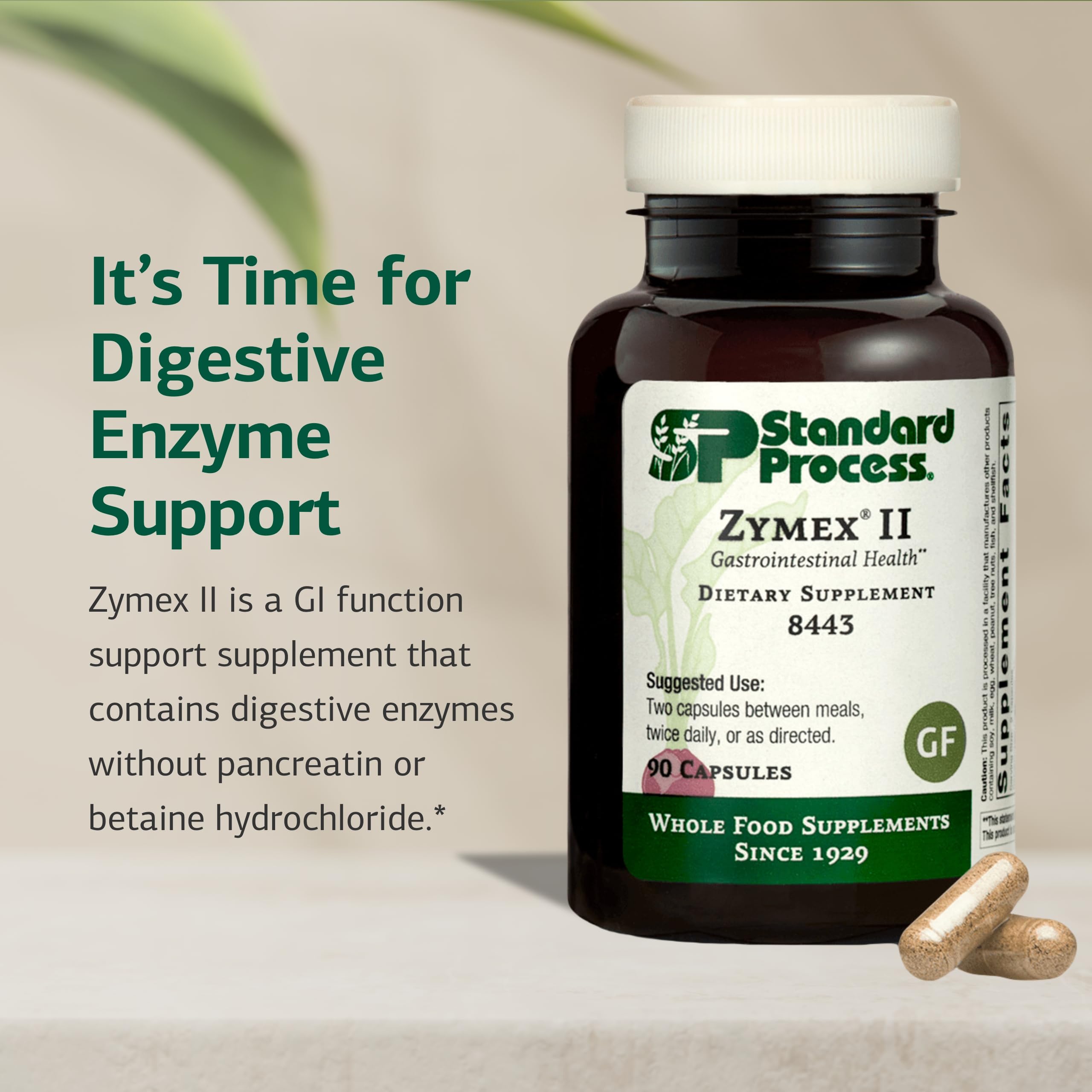 Graphic of Zymex II digestive enzymes supporting GI function