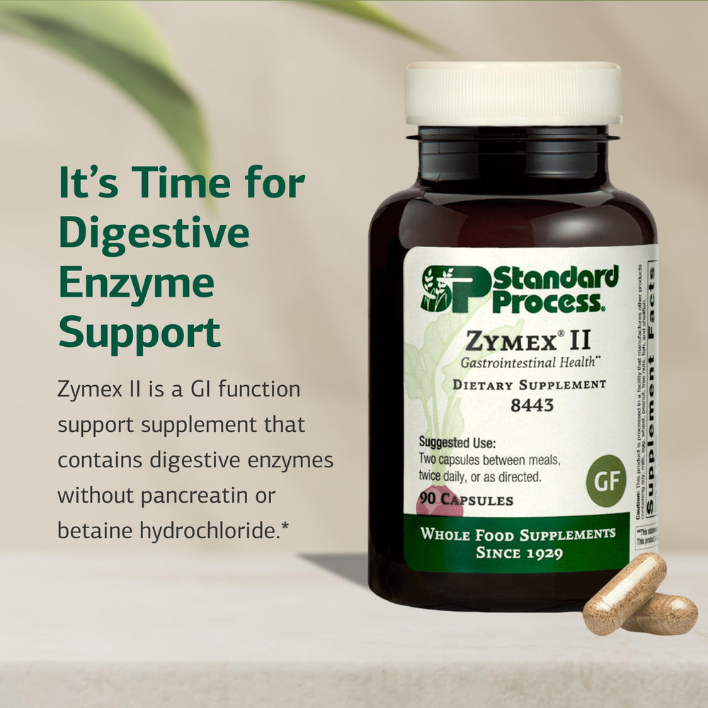 Graphic of Zymex II digestive enzymes supporting GI function